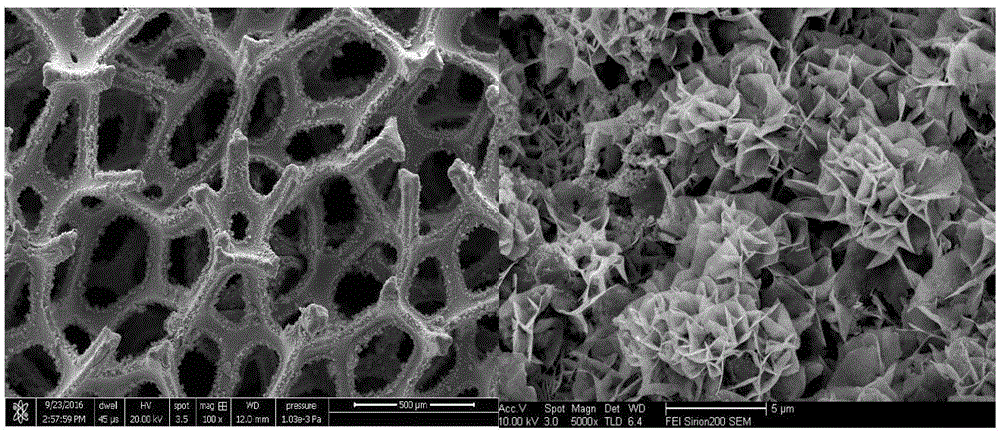 Method for preparing graphene wrapped 3D flowerlike nickel sulfide/foamed nickel material