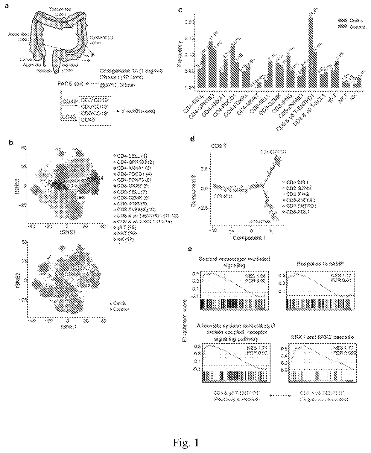 Immunity mechanism and therapeutic drug for gastrointestinal diseases