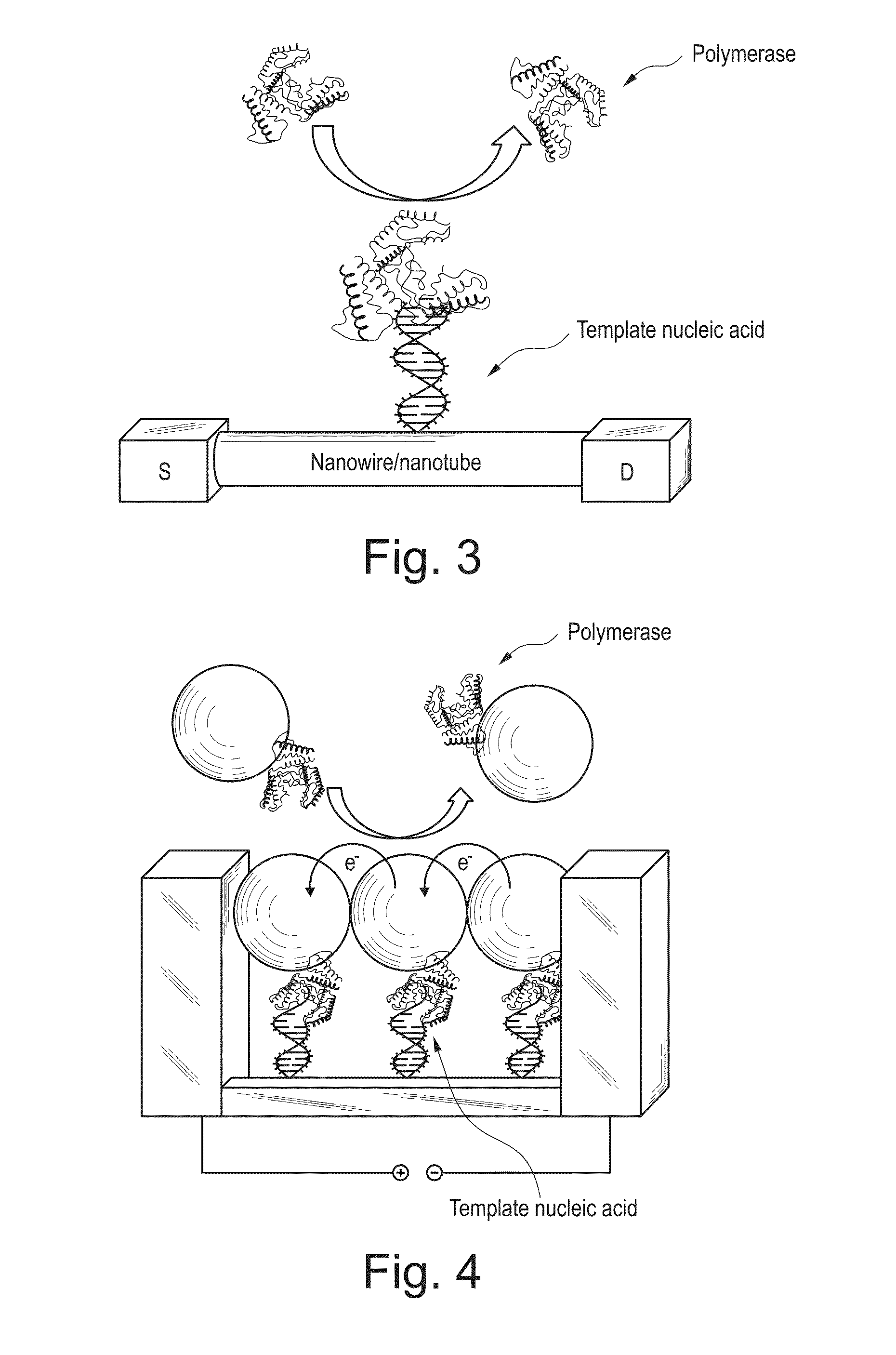 Apparatus and methods for kinetic analysis and determination of nucleic acid sequences