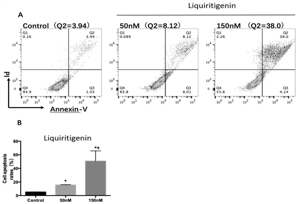 Application of ER beta selective agonist in tumor resistance