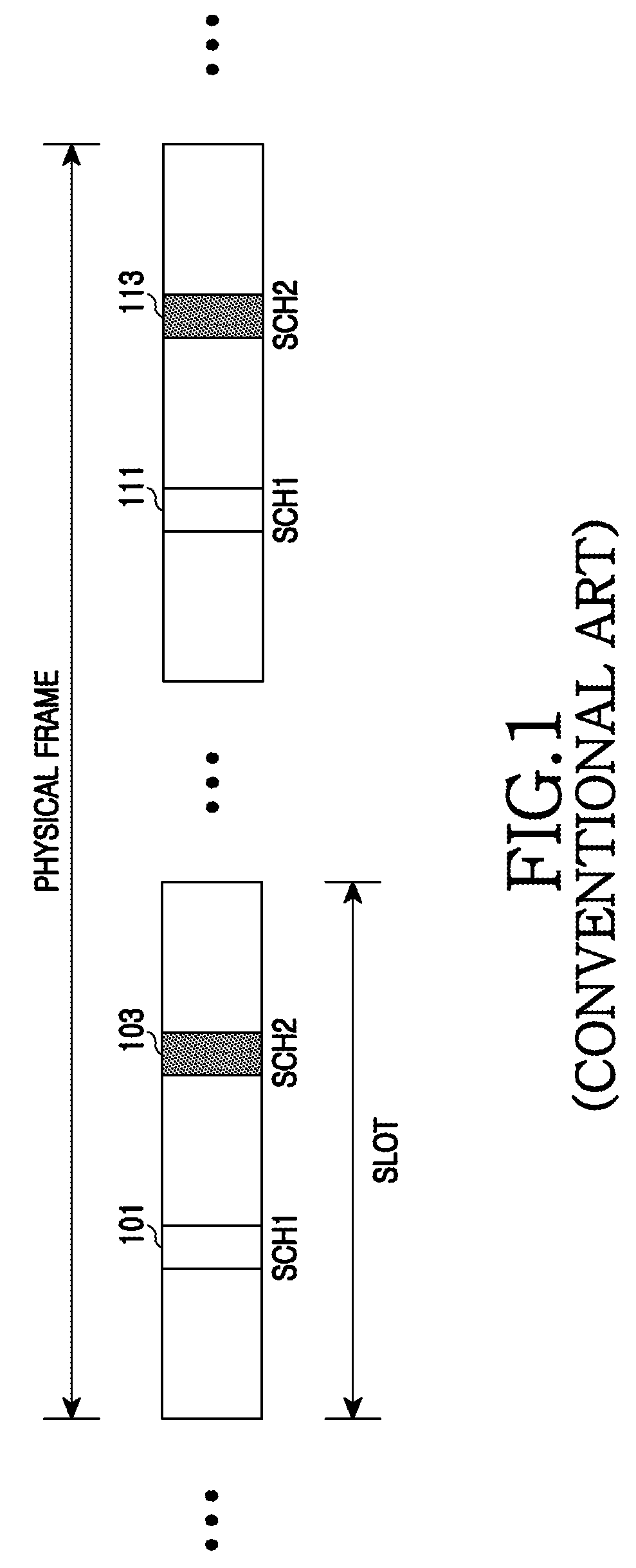 Apparatus and method for cell searching in wireless communication system