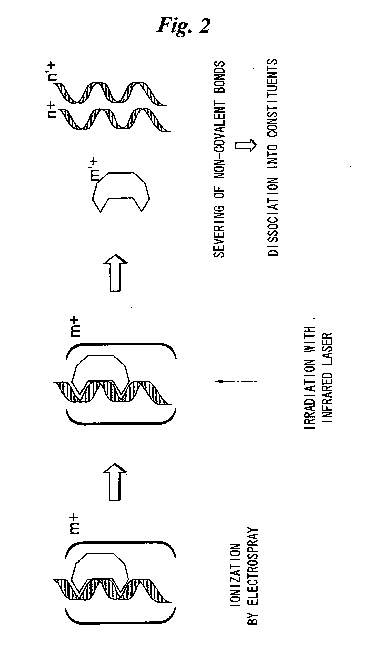 Method and apparatus for selectively severing and analyzing non-covalent and other bonds of biological macromolecules