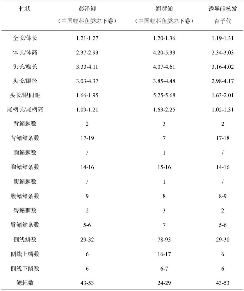 Method for Inducing Pengze Crucian Carp Gynogenetic Development by Culperus chinensis