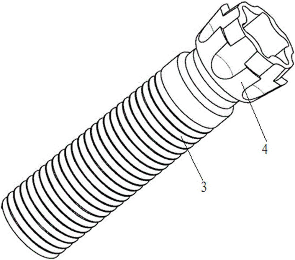 Composite screw and composite fixing assembly