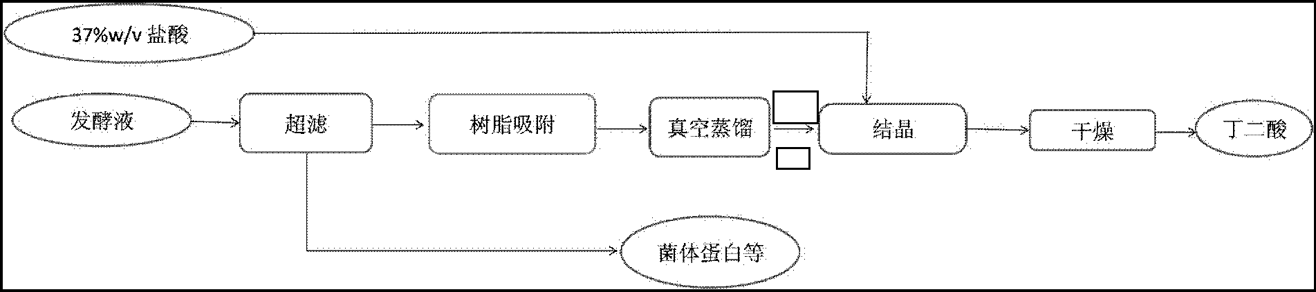 Method for separating and purifying succinic acid from fermentation broth