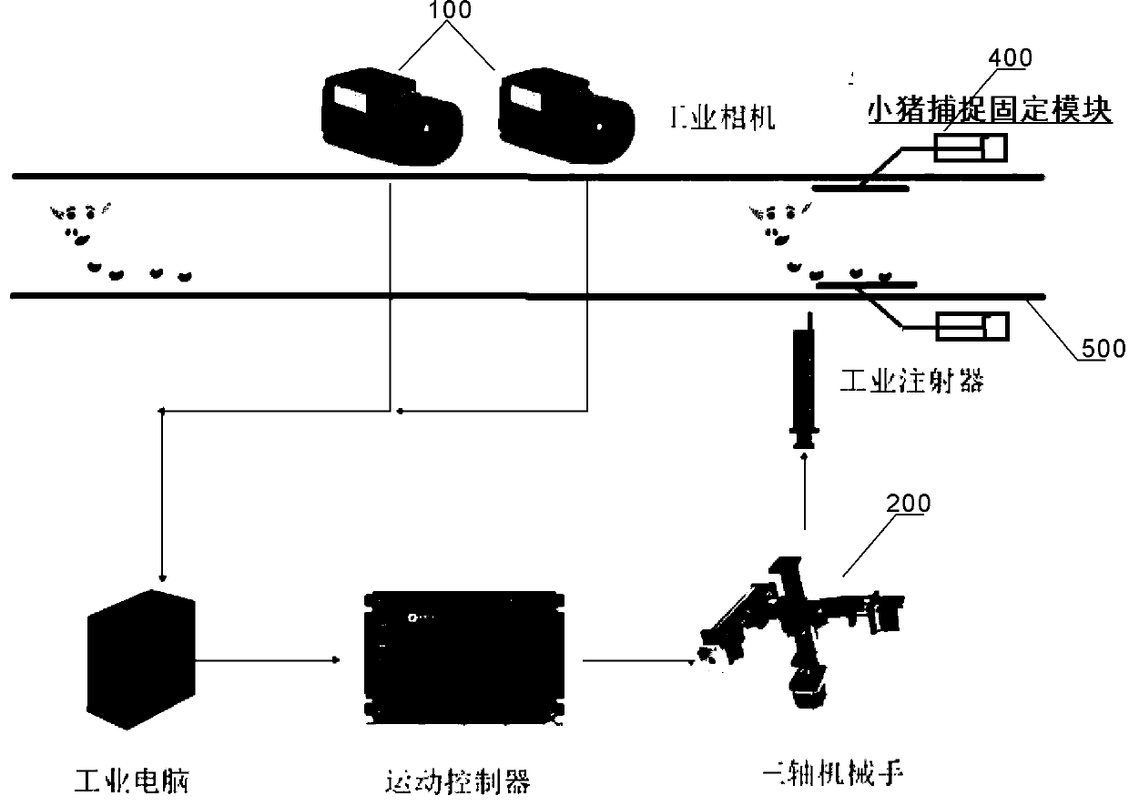 Automatic injection equipment for pig vaccines