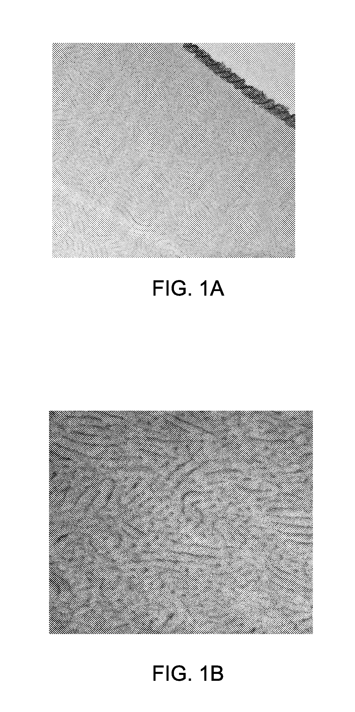 Block copolymer membranes and associated methods for making the same