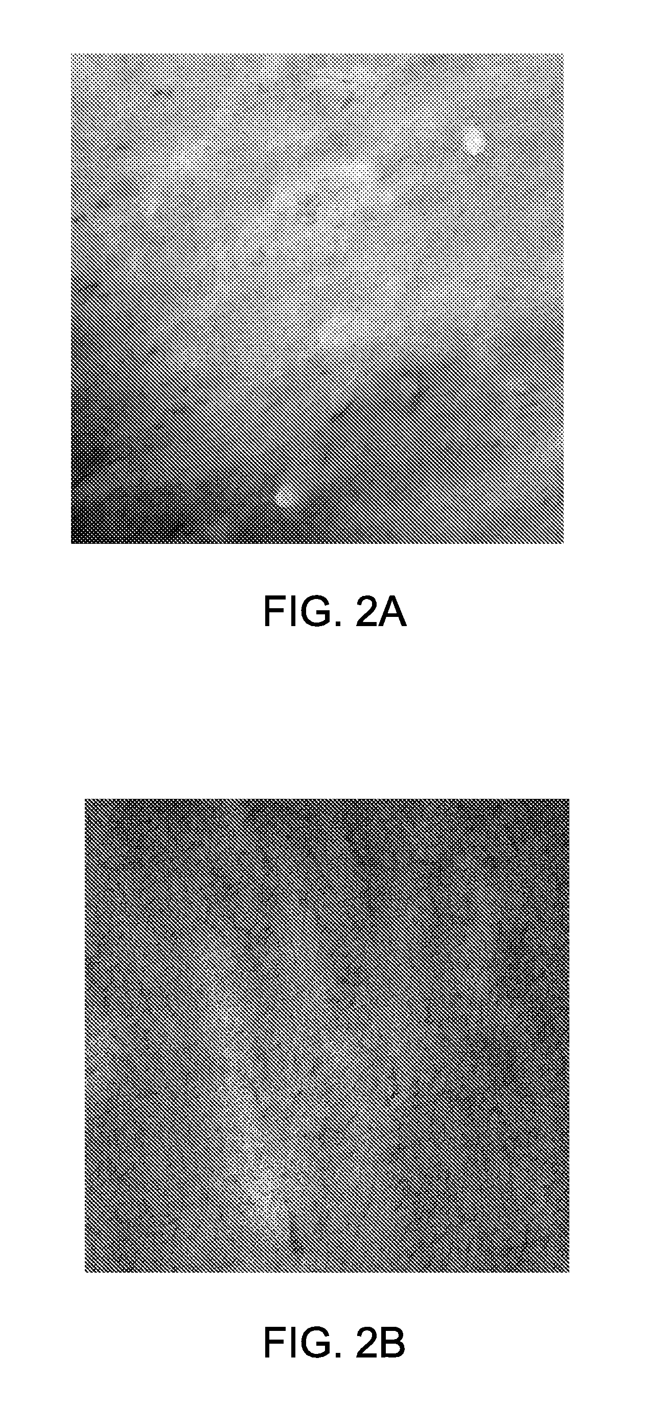 Block copolymer membranes and associated methods for making the same