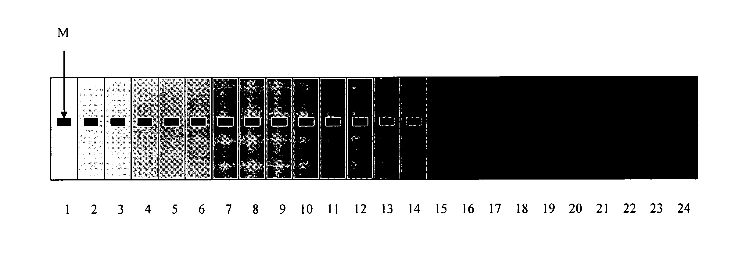 Approach to adjust driving waveforms for a display device