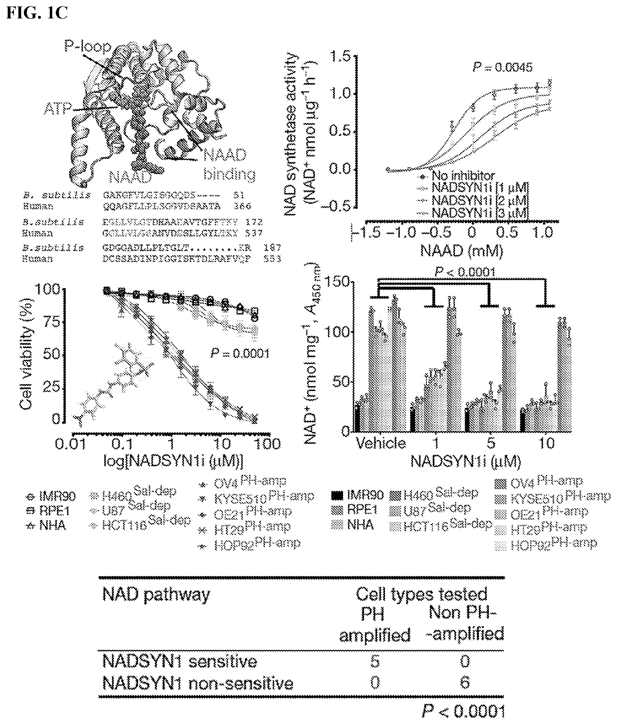 Targeting nad biosynthesis in the treatment of cancer