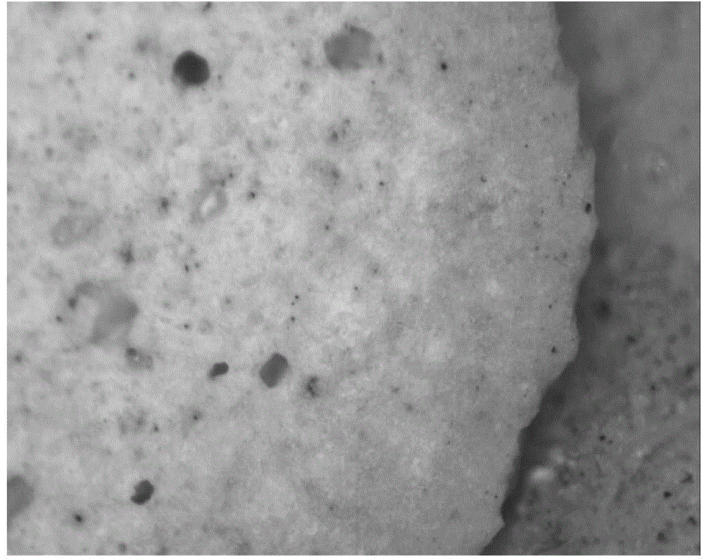 Light ceramsite co-sintered on surface by virtue of potassium sulphate and preparation method of light ceramsite