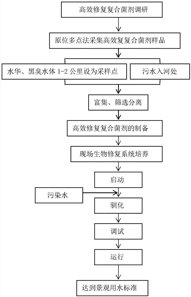 Efficient repairing complex inoculant and application thereof