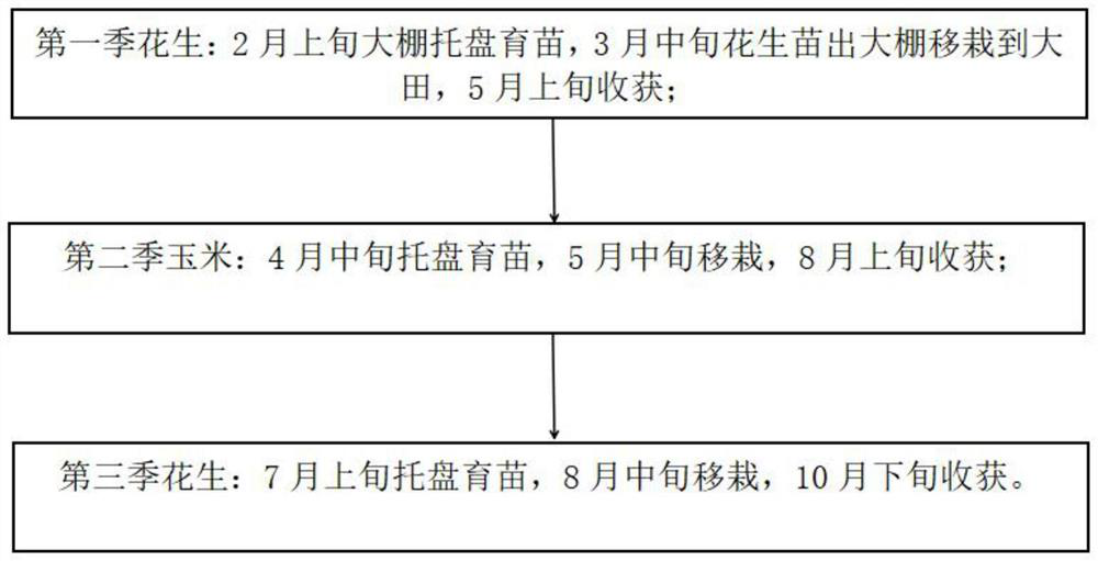 Peanut-corn-peanut triple-cropping cultivation method