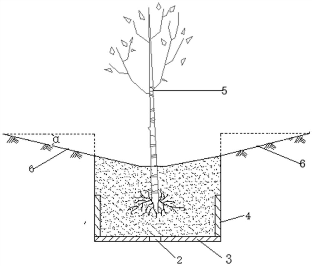 A method for afforestation on inland saline-alkali land