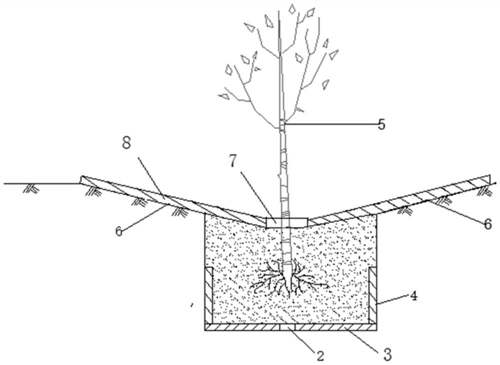 A method for afforestation on inland saline-alkali land