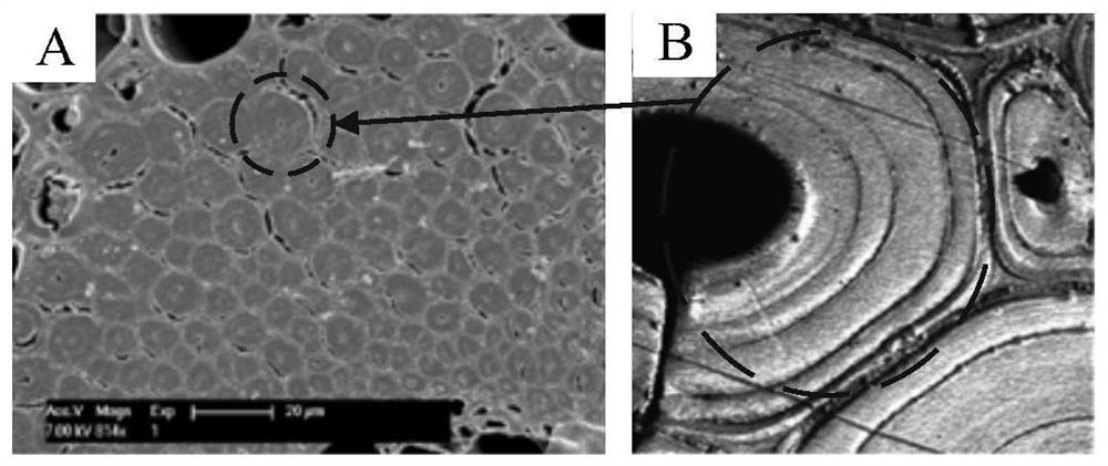 Annular multi-wall layer structure bionic cutter based on bamboo fiber cell walls and preparation method thereof