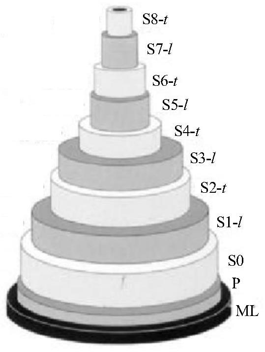 Annular multi-wall layer structure bionic cutter based on bamboo fiber cell walls and preparation method thereof