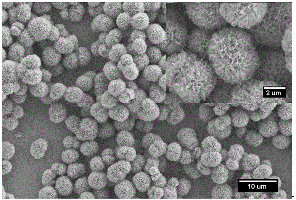 Spherical nano-porous hydroxylapatite prepared through shells and preparation method thereof