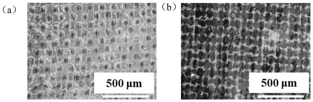 Photonic crystal structure chromogenic fabric and preparation method thereof