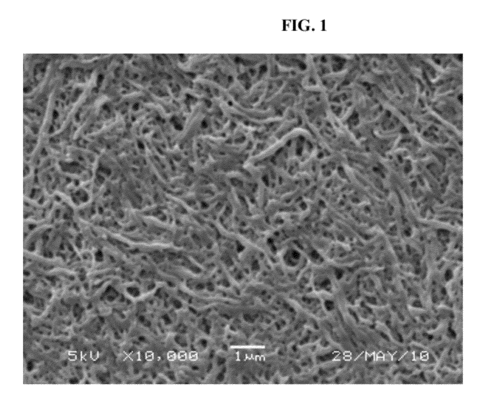 Bioabsorbable Polymeric Compositions, Processing Methods, and Medical Devices Therefrom