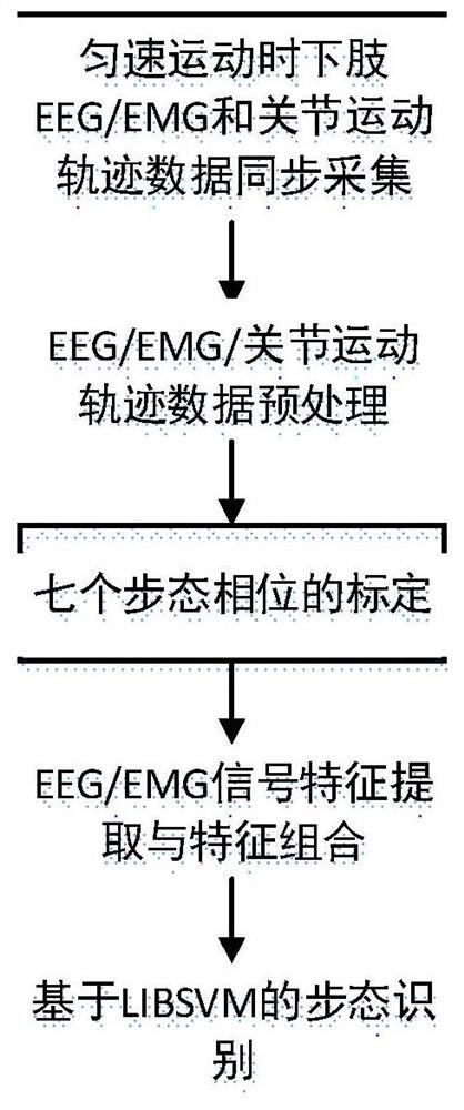 A gait recognition method based on brain electromyographic signals