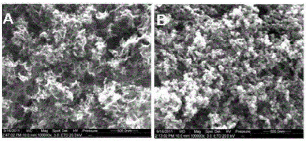 Nitrogen-doped porous carbon material for positive electrode of lithium-air battery