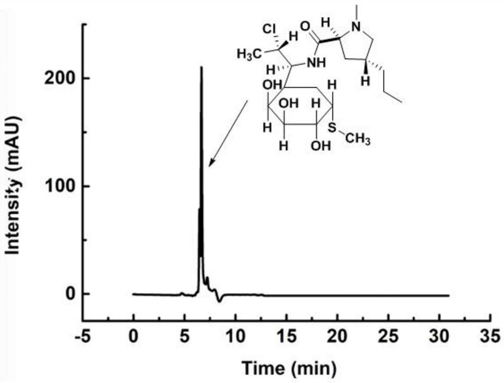 A lipase-calcium phosphate complex enzyme crystal, its preparation method and its catalytic method for synthesizing clindamycin palmitate