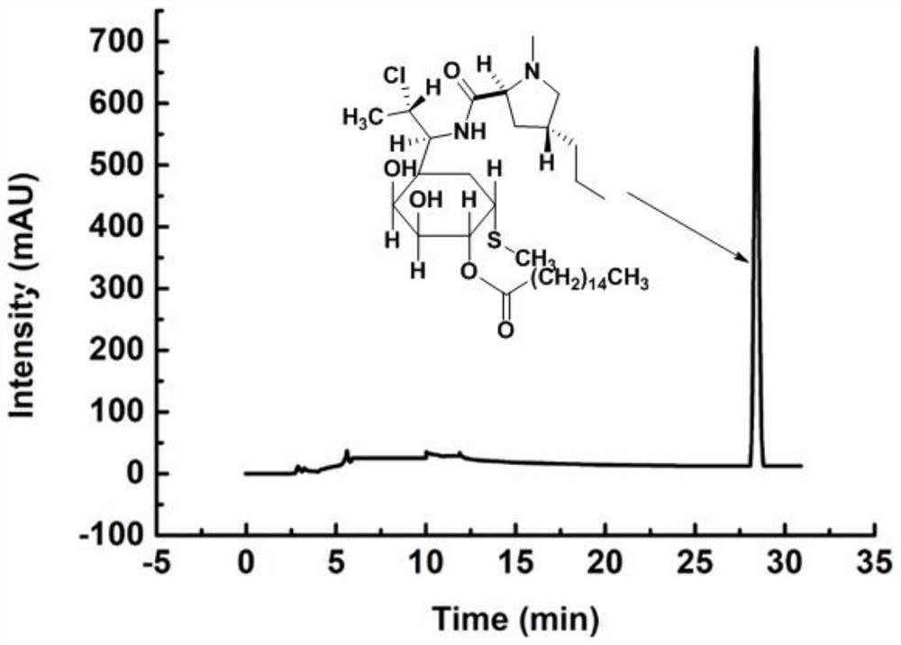 A lipase-calcium phosphate complex enzyme crystal, its preparation method and its catalytic method for synthesizing clindamycin palmitate