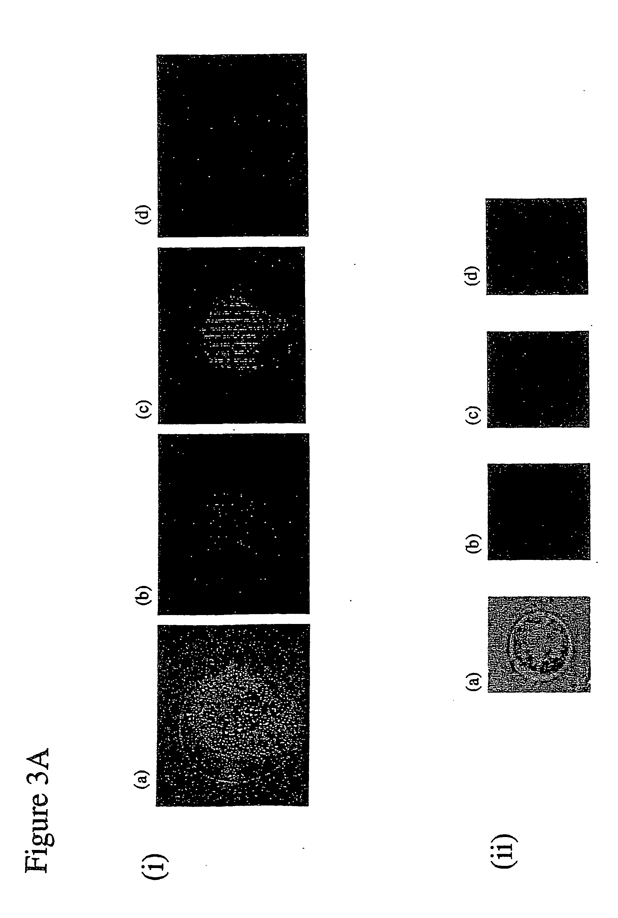 Gene transfer composition and method