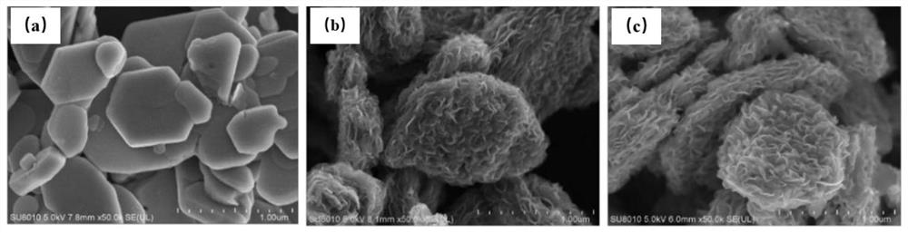 A kind of composite catalyst and its preparation method and application