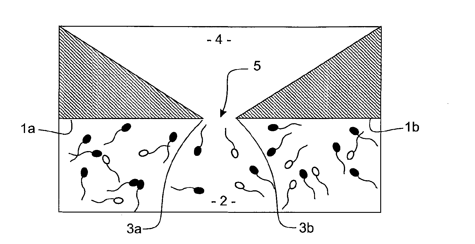 Method and apparatus for the isolation of motile sperm