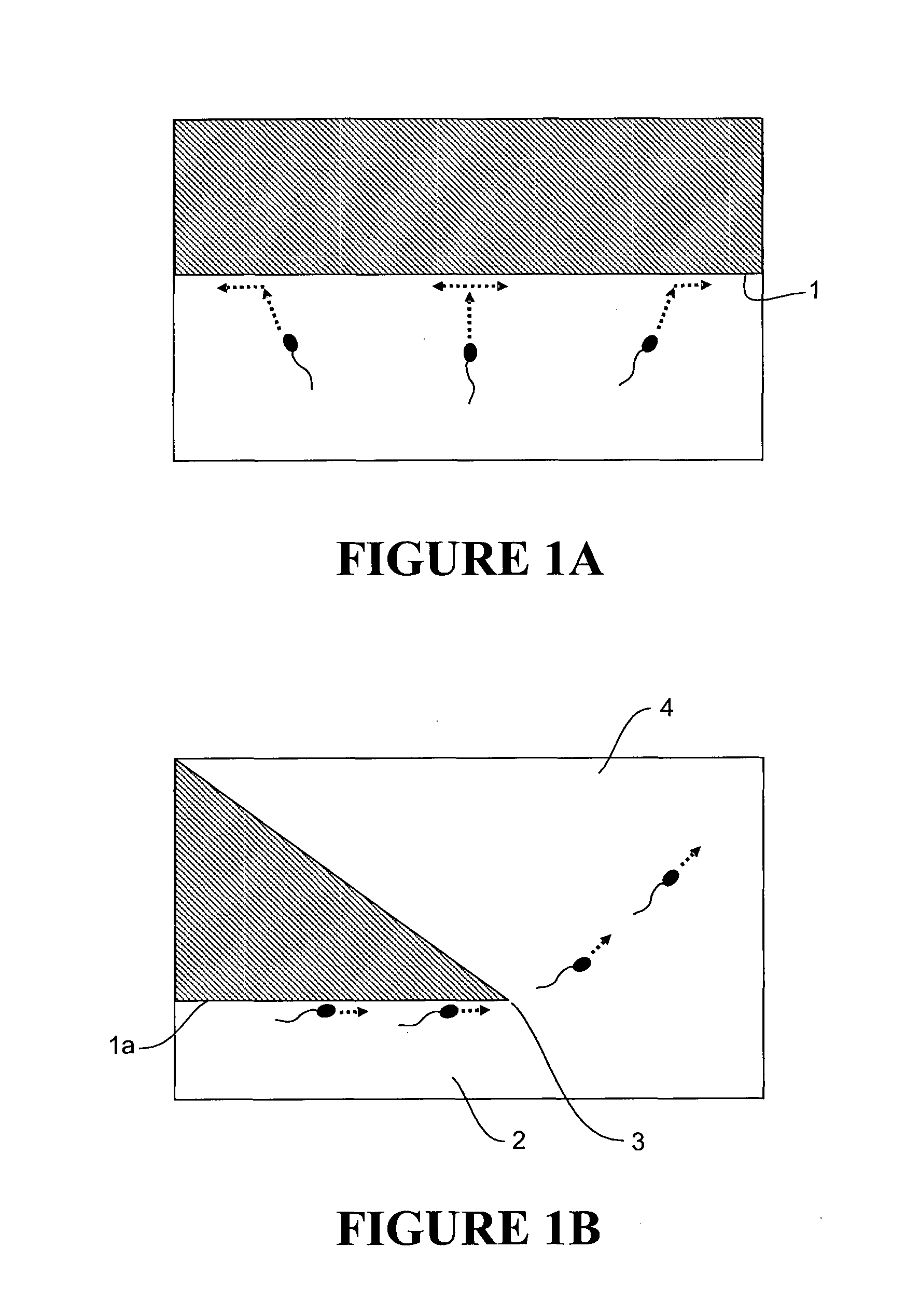 Method and apparatus for the isolation of motile sperm