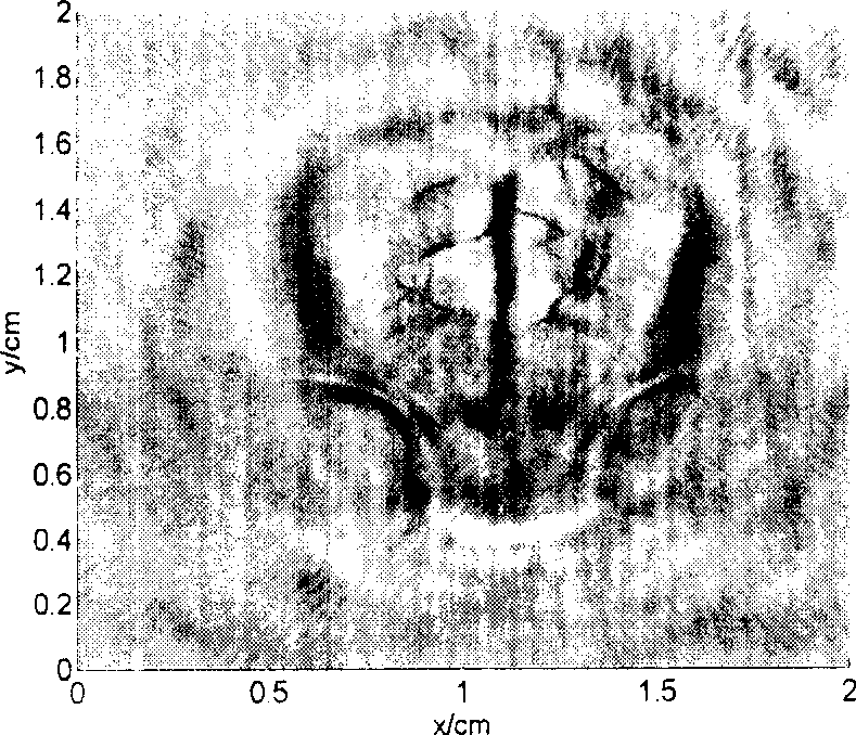 Photo-acoustic functional brain imaging method and device