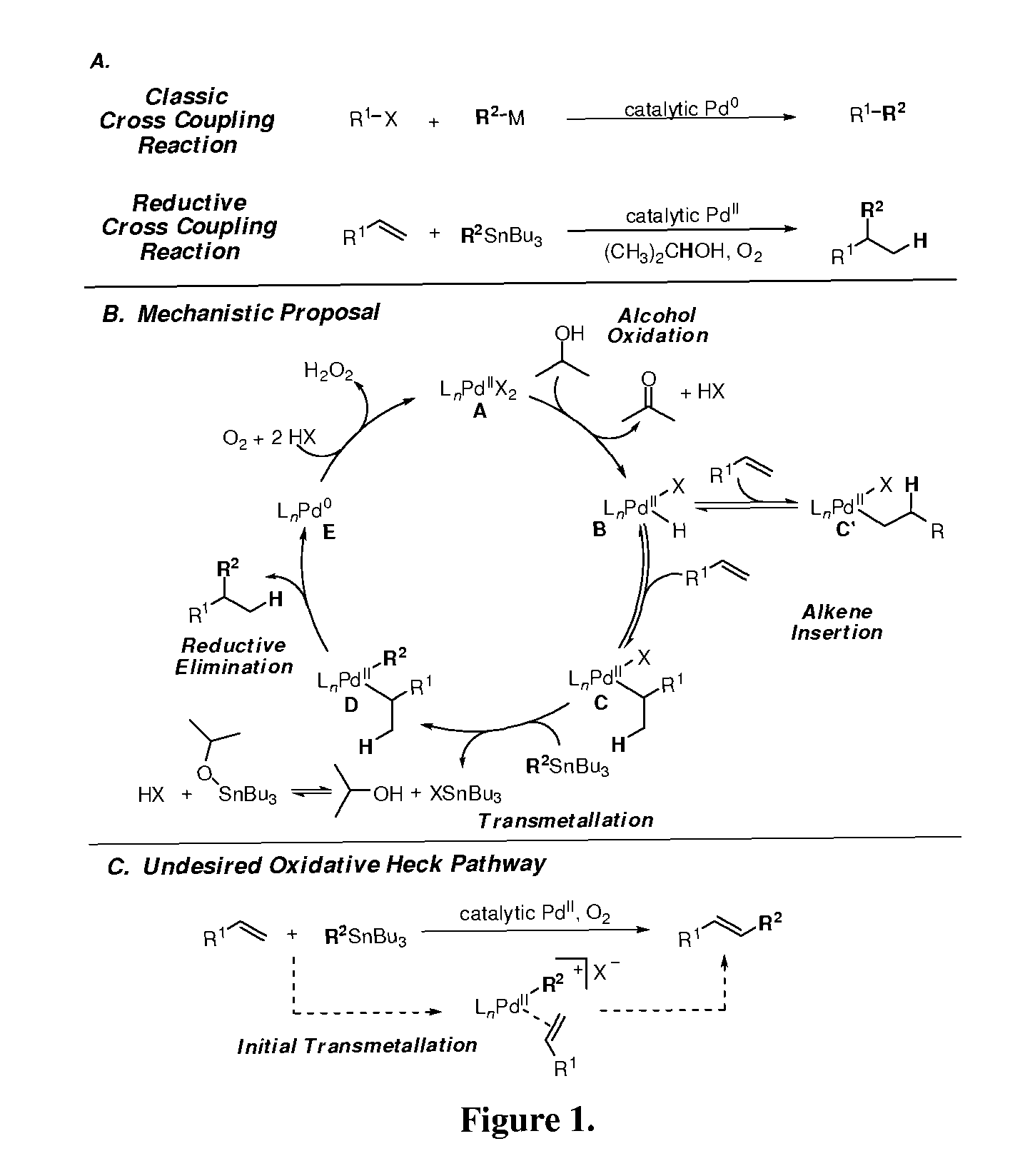 Alkene hydrofunctionalization reactions