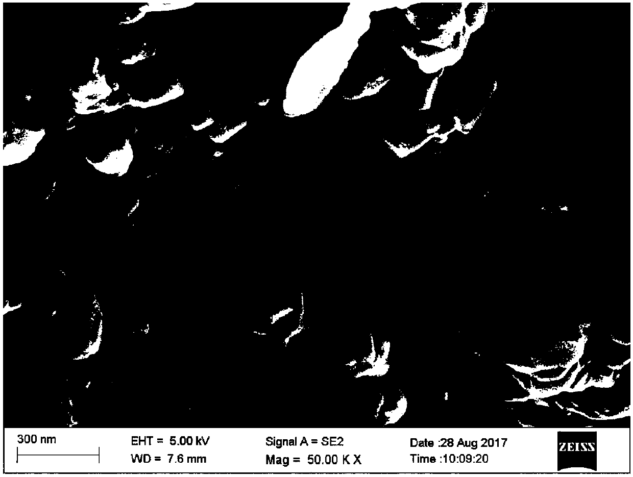 Preparation method of nanoporous silicon of negative electrode material of lithium battery