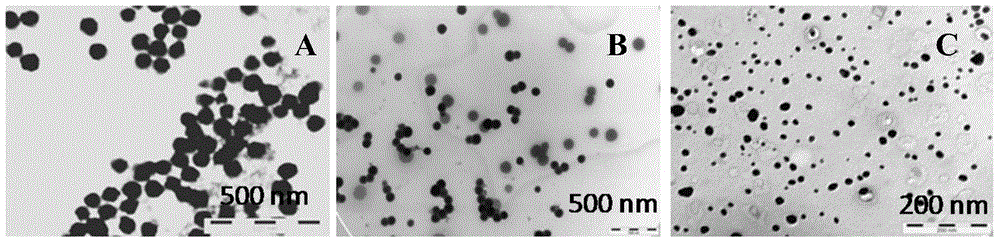 Nano-particle for inhibiting aggregation of alpha-beta and metal ions induced alpha-beta, as well as preparation and application