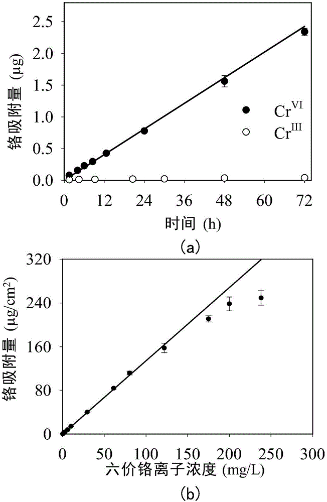 Adsorption film capable of selectively fixing hexavalent chromium ions and preparation method thereof