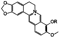 Medical application of berberine derivative