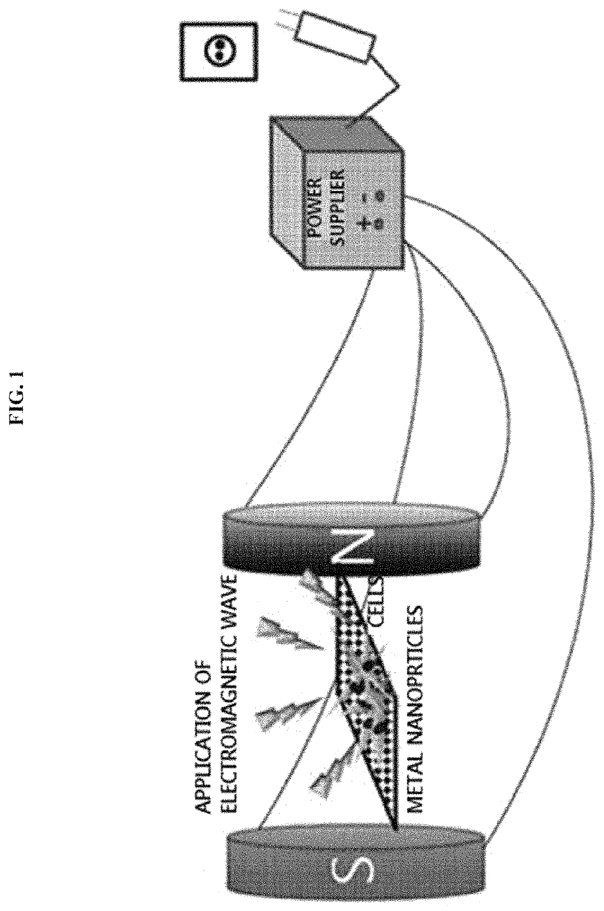 Method for direct transdifferentiation reprogramming into neurons using electromagnetic-induced metal nanoparticles