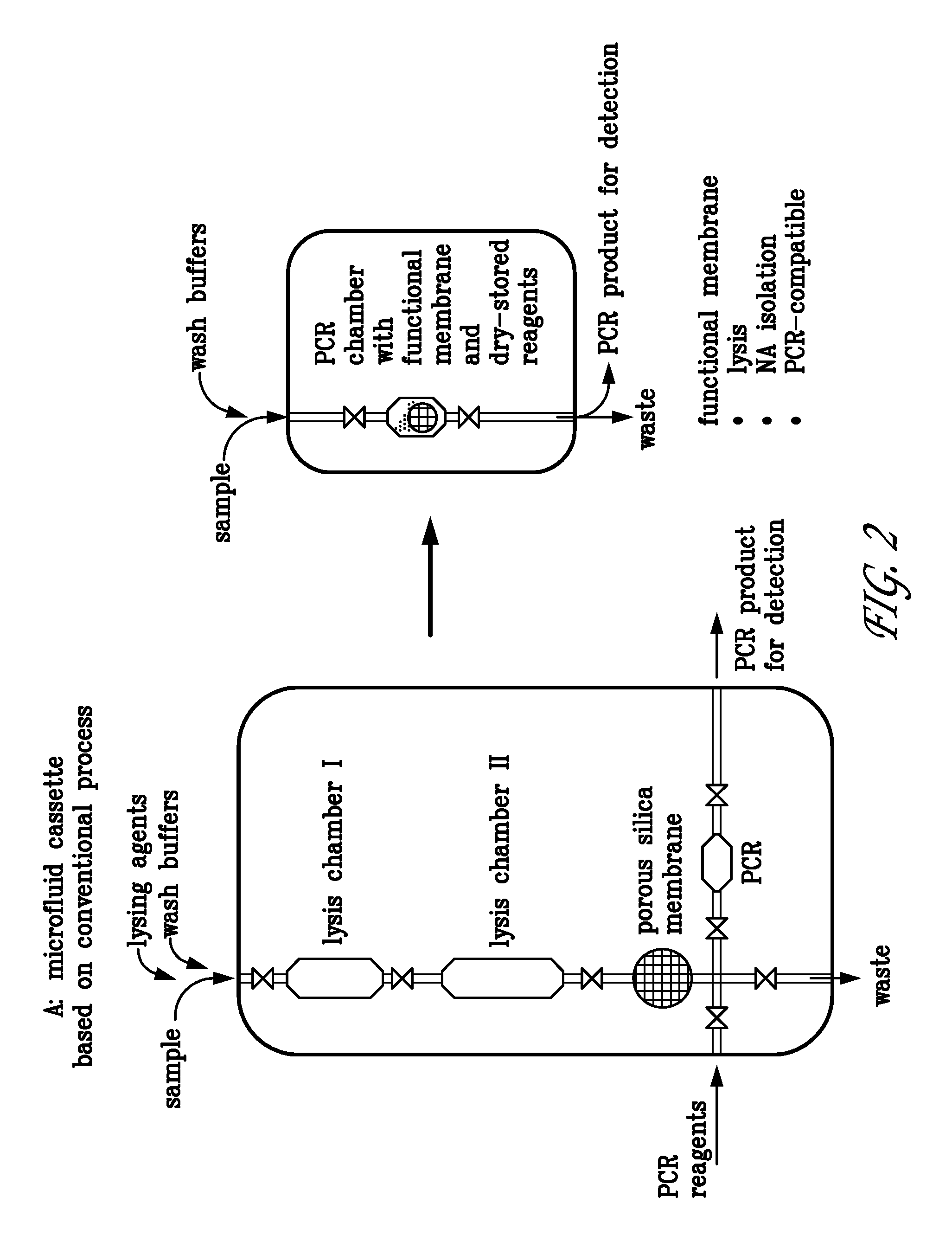 Integrated PCR reactor for cell lysis, nucleic acid isolation and purification, and nucleic acid amplication related applications