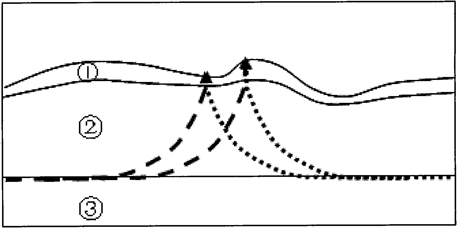 Method for establishing near-surface velocity model in high-density seismic static correction processing