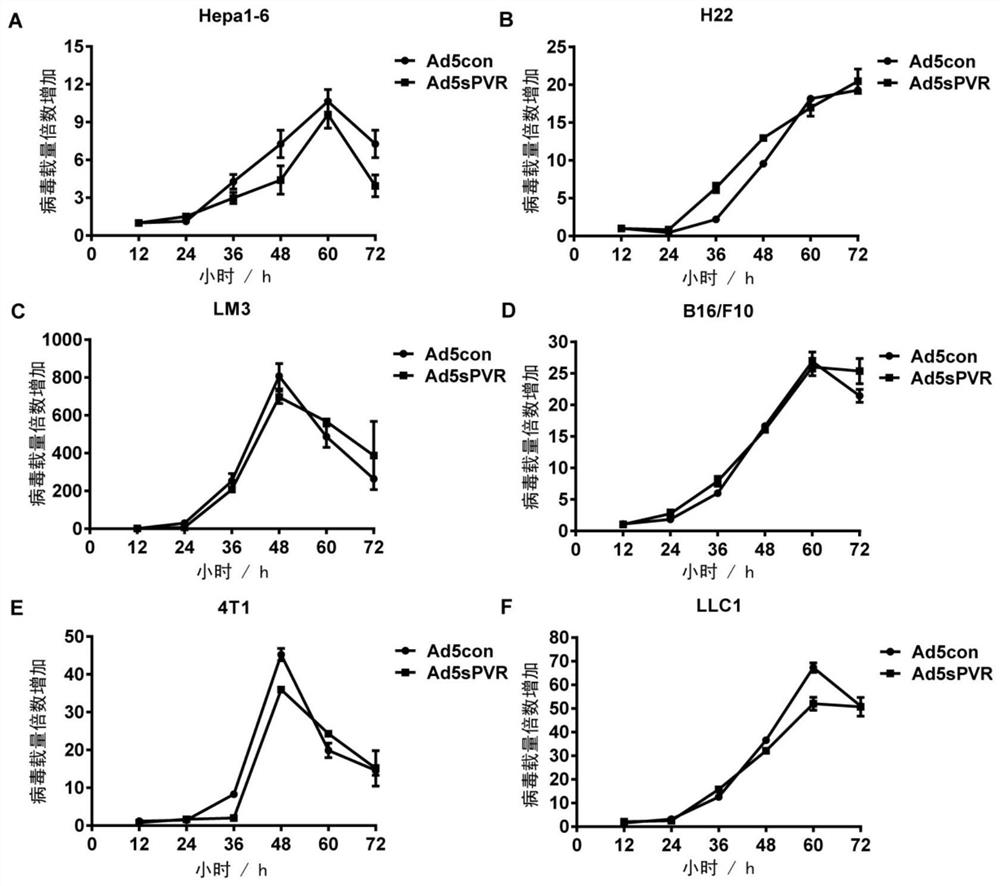 A replication-type oncolytic adenovirus that activates immune co-stimulation by immune checkpoints and its construction method and application