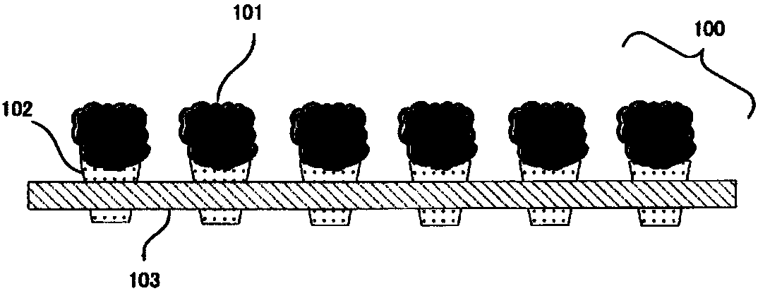 Open-field hydroponic kit, open-field hydroponic system, and plant manufacturing method