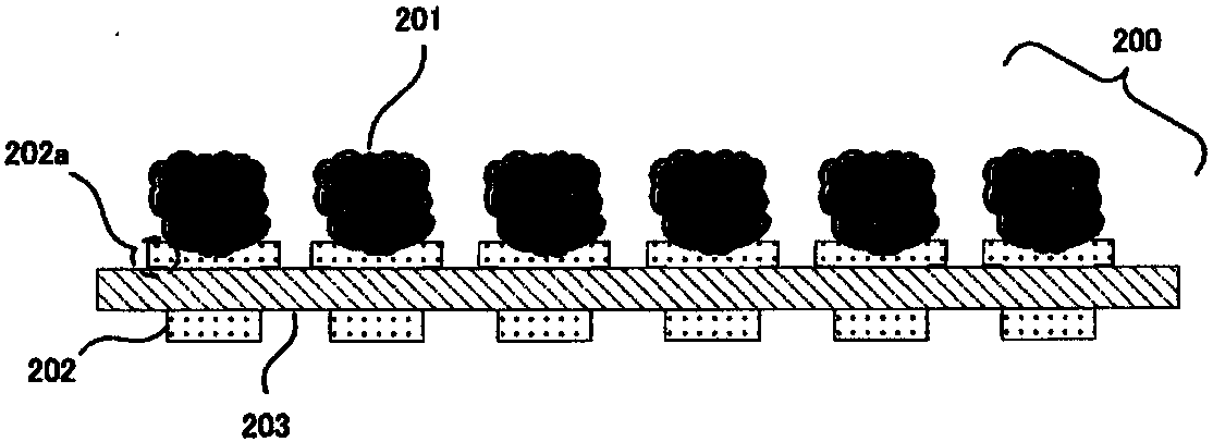 Open-field hydroponic kit, open-field hydroponic system, and plant manufacturing method