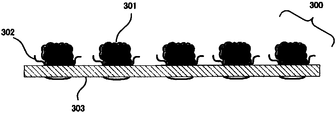 Open-field hydroponic kit, open-field hydroponic system, and plant manufacturing method