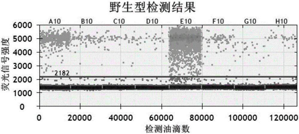 Specific primer and probe for detecting T790M locus of EGFR gene