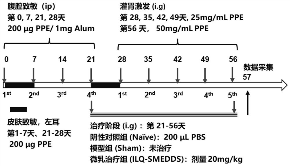 Isoliquiritigenin self-microemulsion, preparation method and application thereof, and application of isoliquiritigenin self-microemulsion to EOE model mice