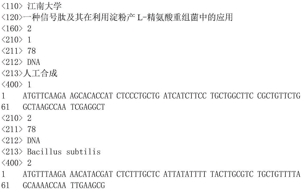 Signal peptide and application thereof in production of L-arginine recombinant bacterium by means of starch