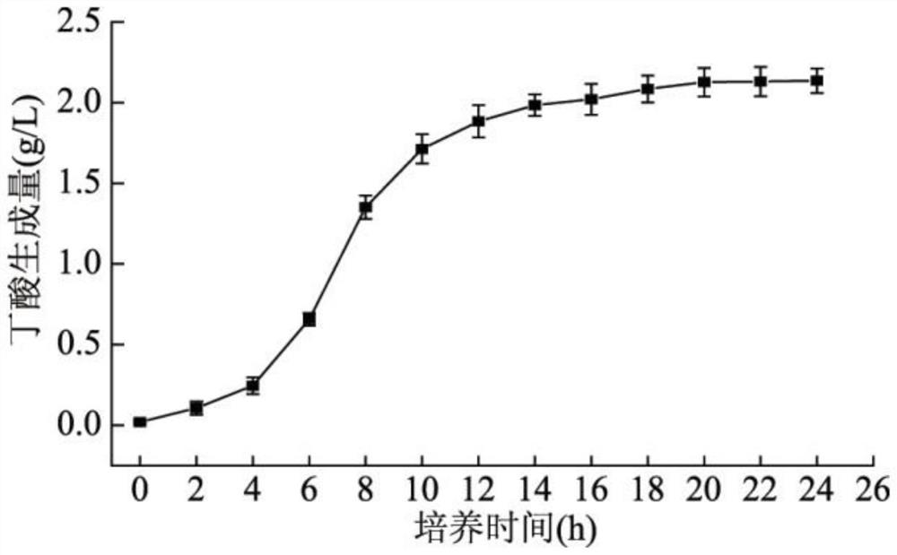 Development and application of lactobacillus acidophilus NM for inhibiting [alpha]-glucosidase