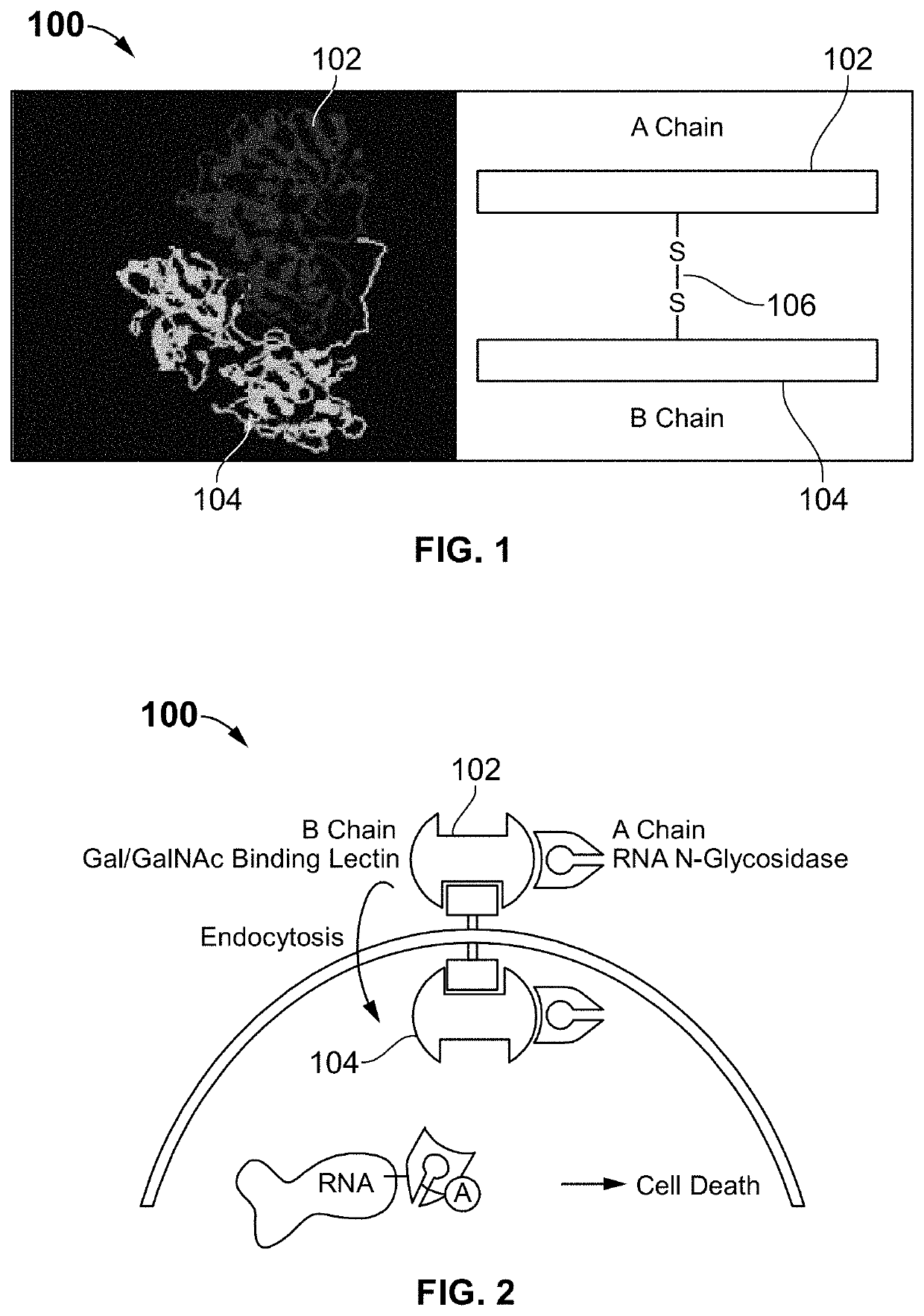 Targeted delivery of the abrin-a a-chain to cancer cells